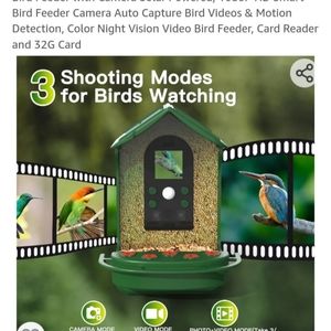 Bird feeder with video